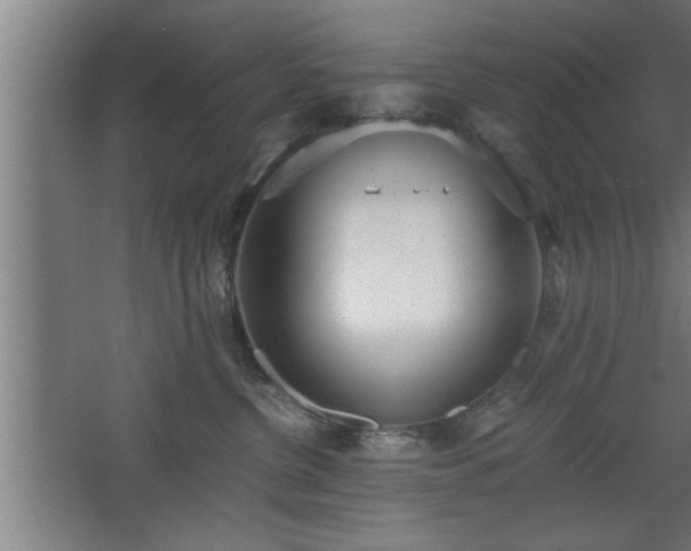 X0000068260380200604281532