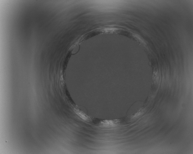 X0000068260381200604281532