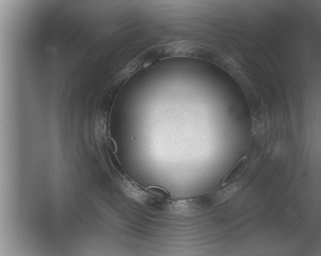 X0000068260382200604281532