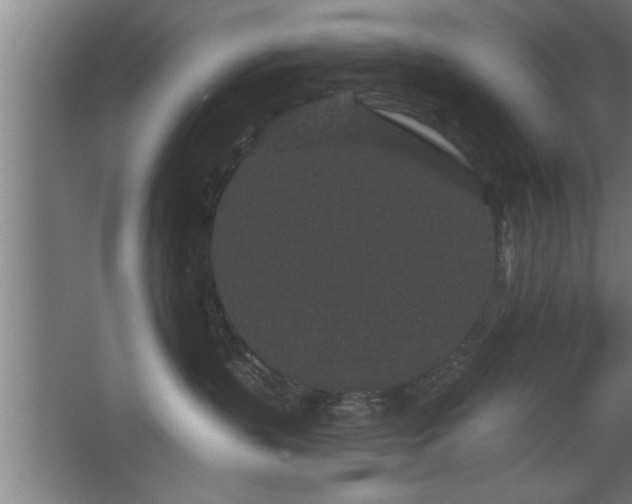 X0000068260383200604281532