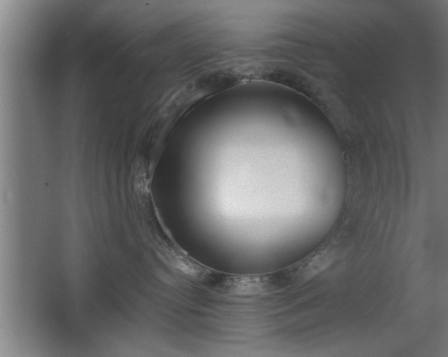 X0000068260384200604281532