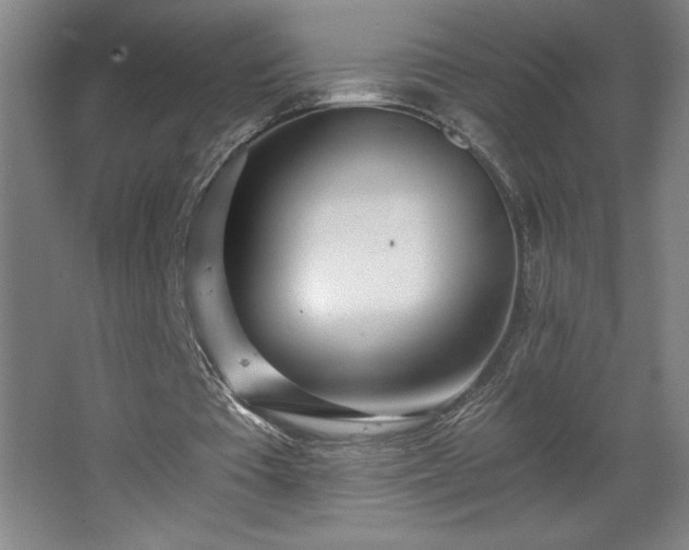 X0000068260385200604281531