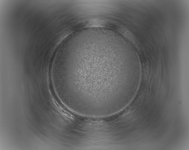 X0000068260386200604281531