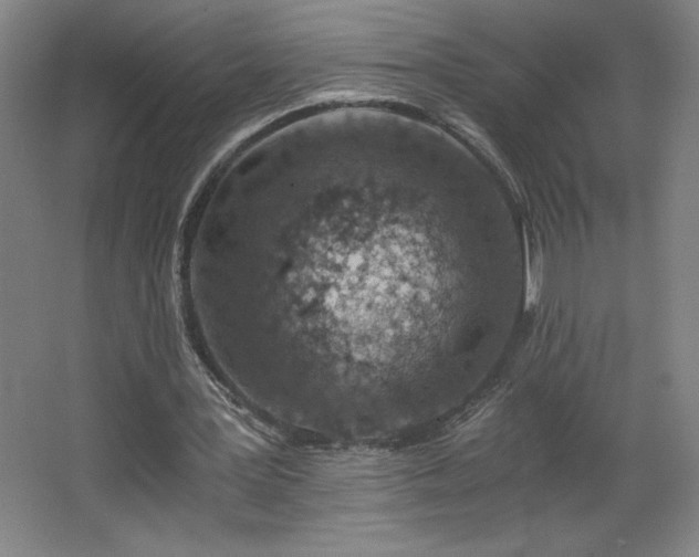 X0000068260387200604281531