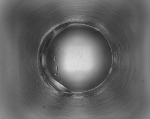 X0000068260388200604281531