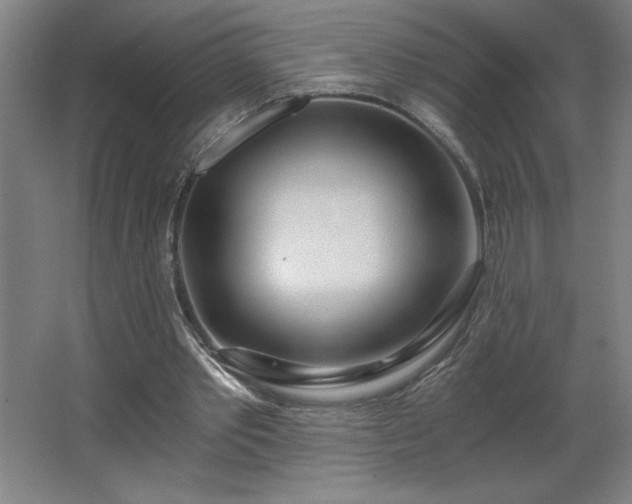 X0000068260389200604281531