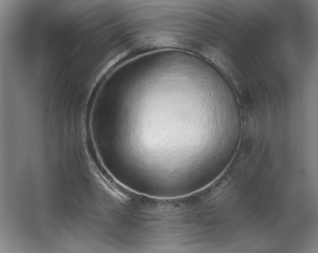 X0000068260390200604281531