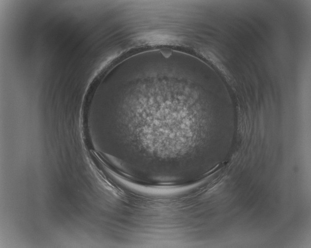 X0000068260391200604281531