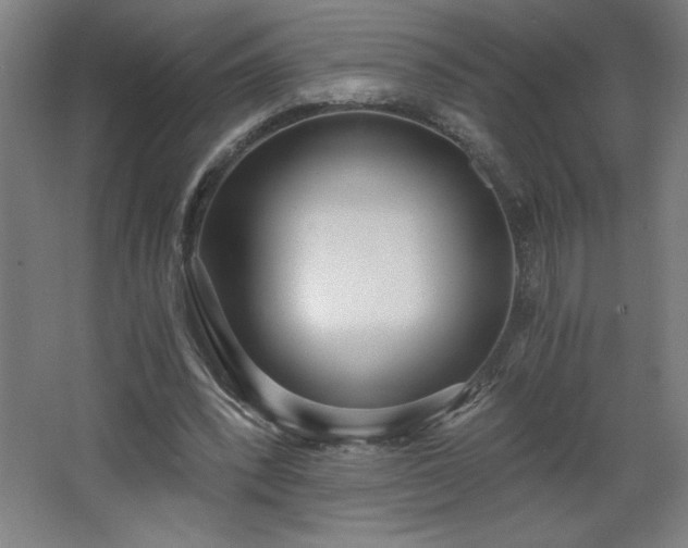 X0000068260392200604281531