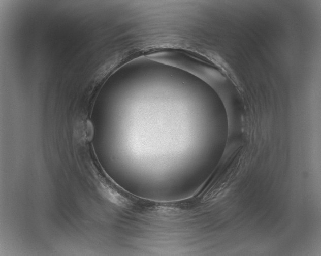 X0000068260393200604281531