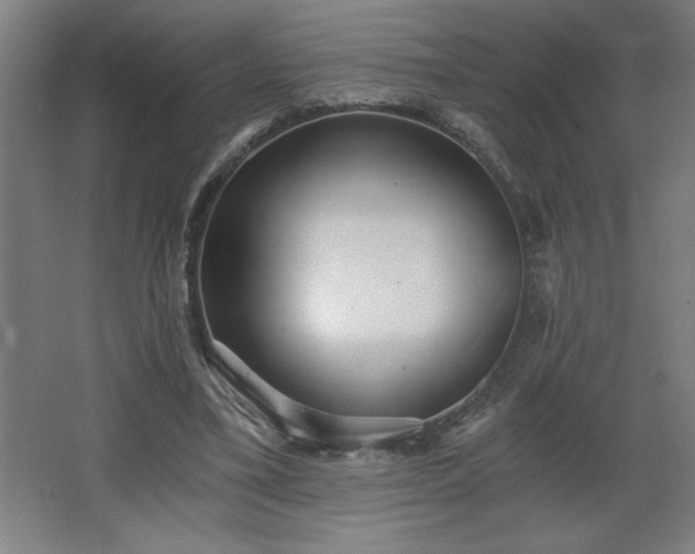 X0000068260395200604281531