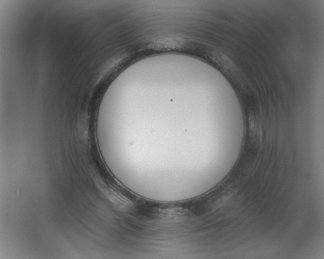 X0000068260396200604281531