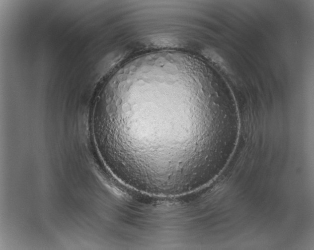 X0000068260398200604281531