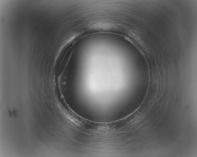 X0000068260399200604281531