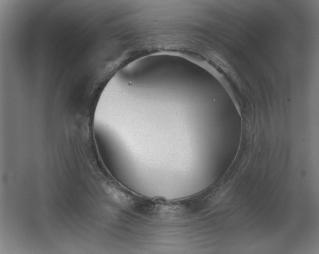 X0000068260401200604281531