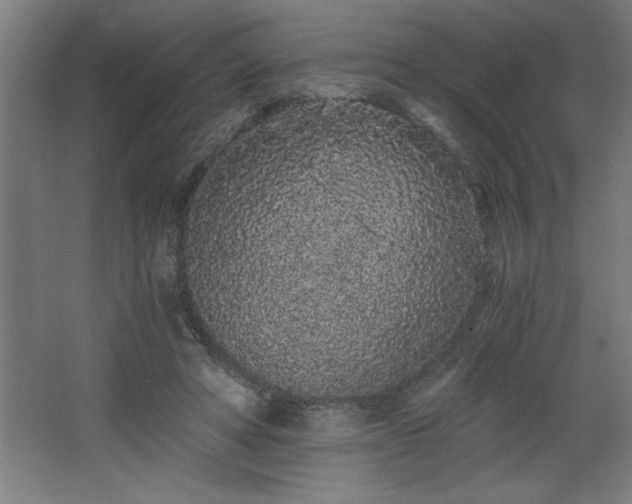 X0000068260402200604281531