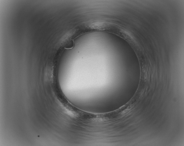 X0000068260404200604281531