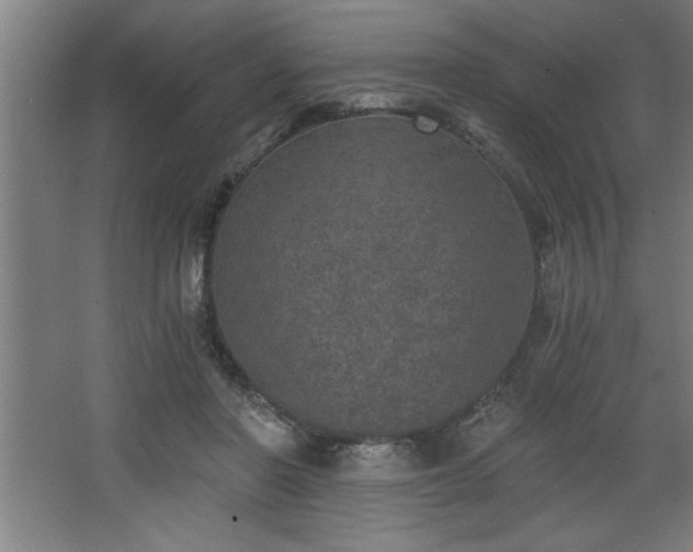 X0000068260406200604281531