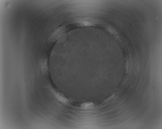 X0000068260410200604281531