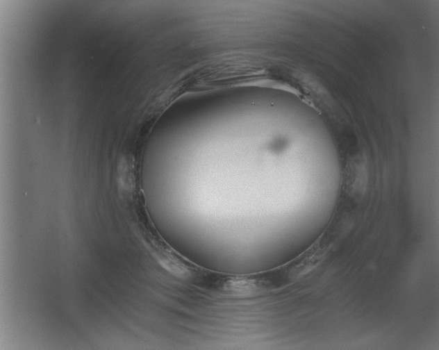 X0000068260413200604281531