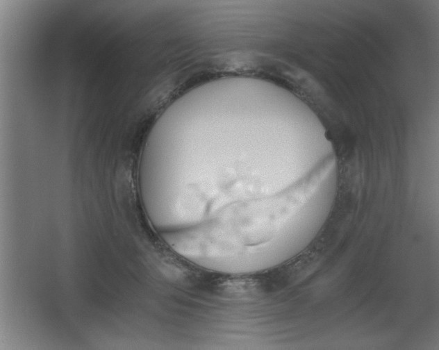 X0000068260415200604281531