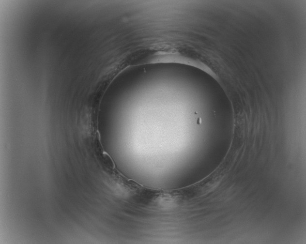 X0000068260416200604281531