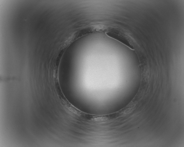 X0000068260417200604281531