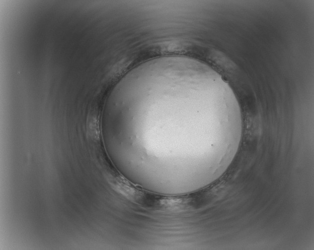 X0000068260419200604281531