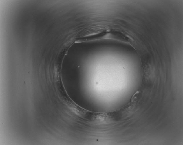 X0000068260420200604281531