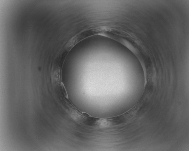 X0000068260425200604281530