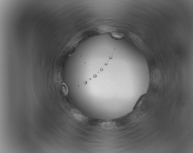 X0000068260426200604281530