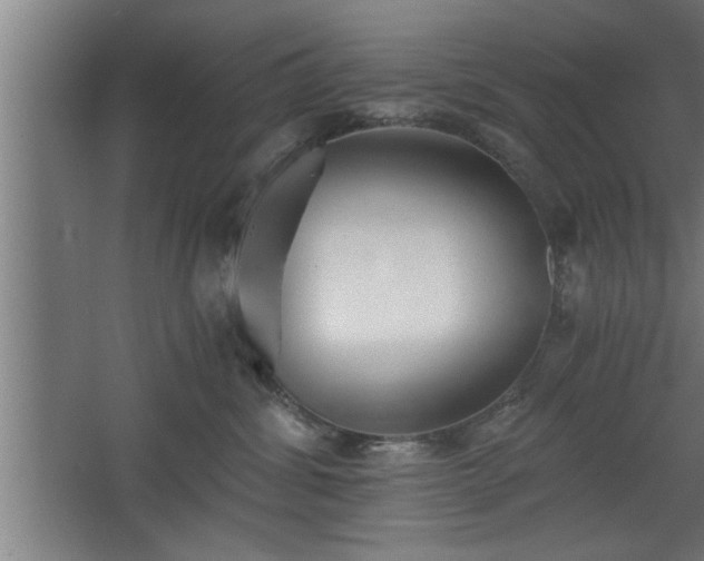 X0000068260428200604281530