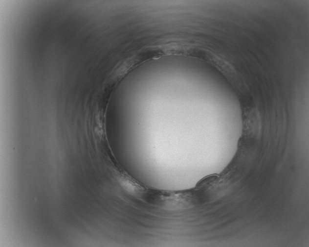 X0000068260430200604281530