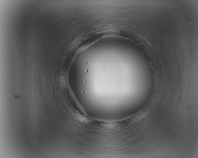 X0000068260432200604281530