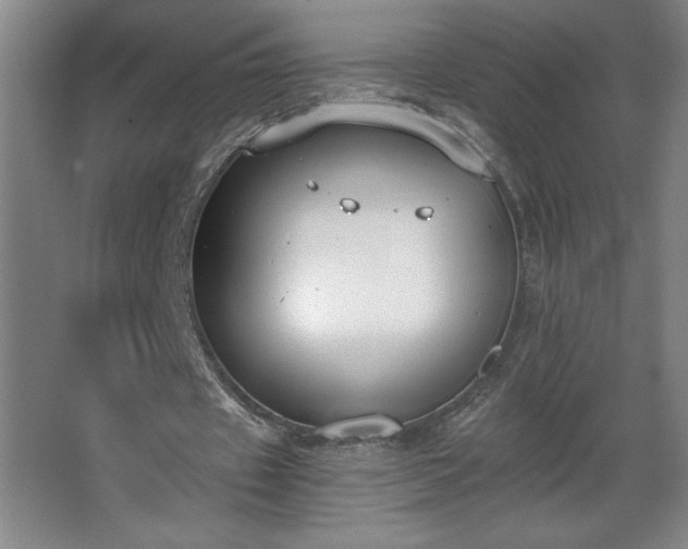 X0000068260433200604281529