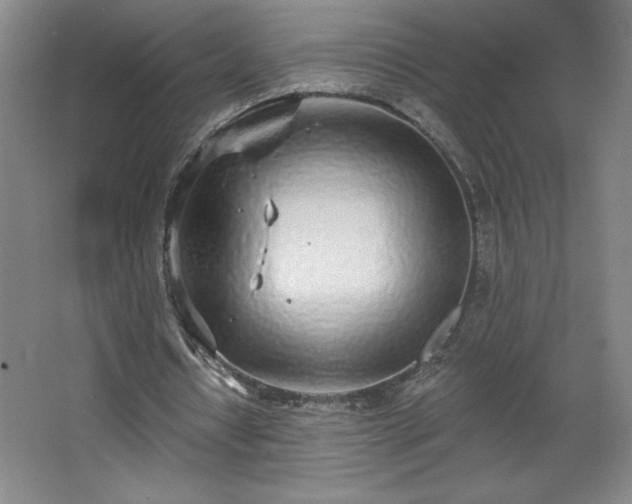 X0000068260434200604281530