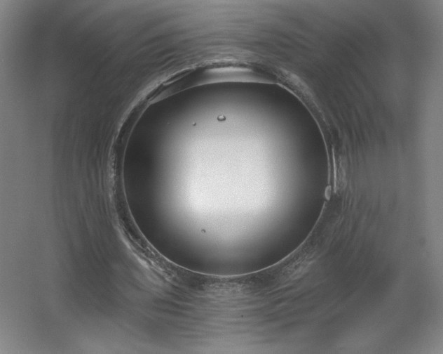 X0000068260435200604281530