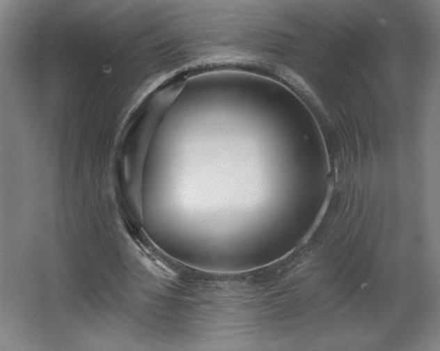 X0000068260436200604281530