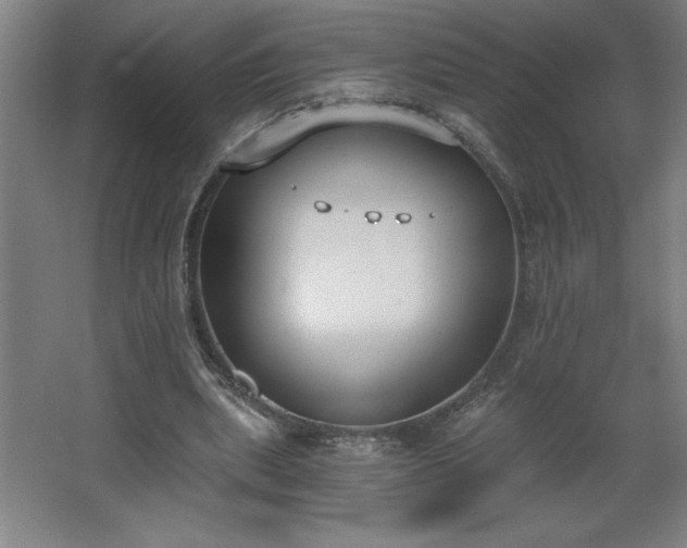 X0000068260439200604281530