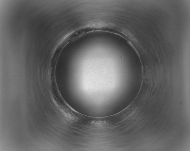 X0000068260440200604281530