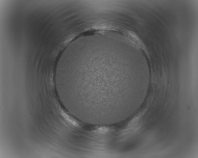 X0000068260441200604281530