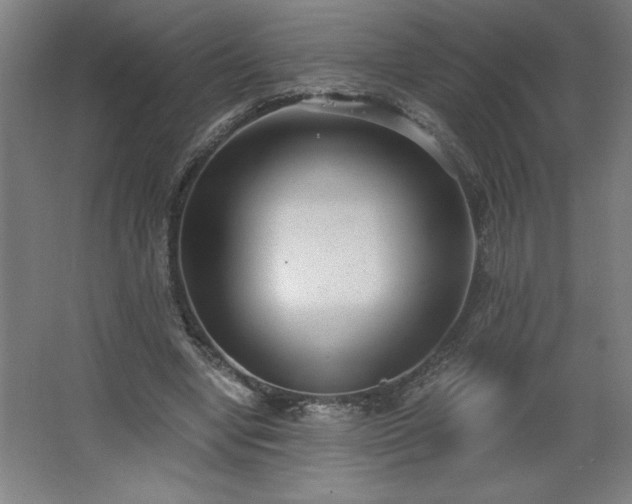 X0000068260442200604281530