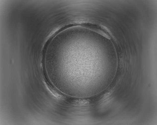 X0000068260443200604281530