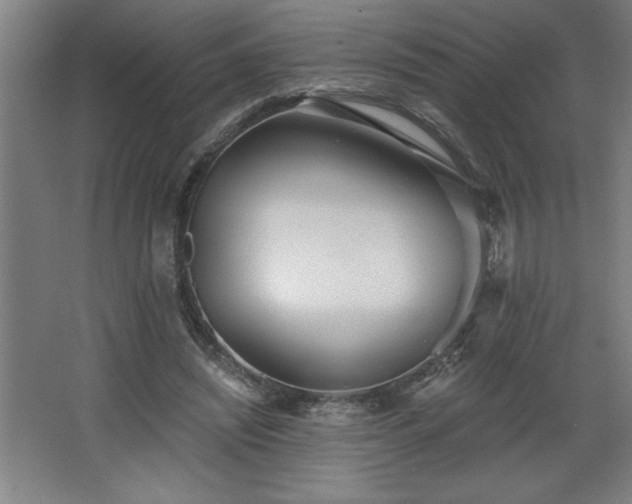 X0000068260444200604281530