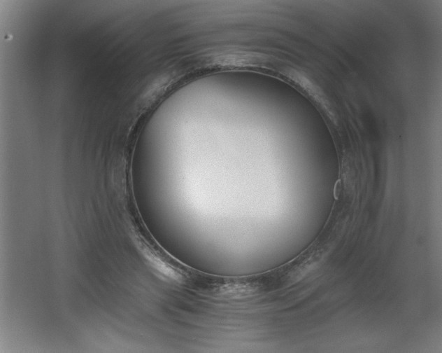 X0000068260445200604281530