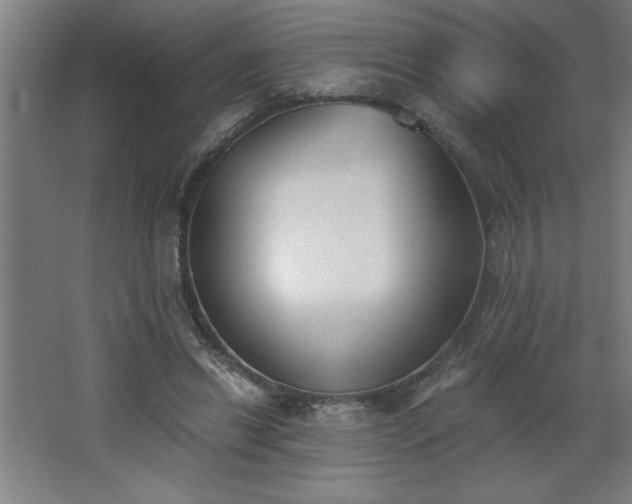 X0000068260446200604281530