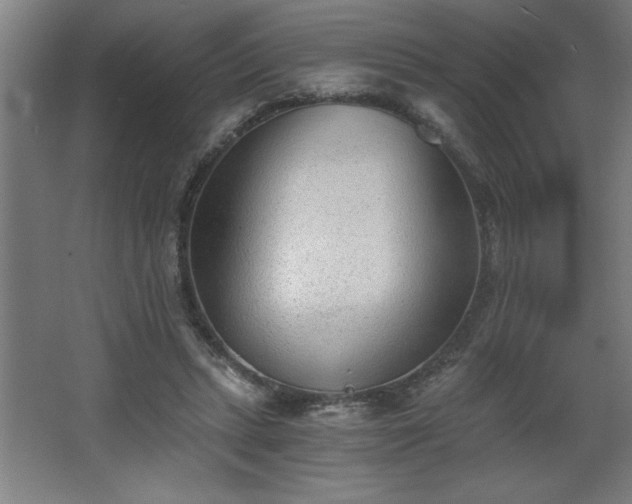 X0000068260447200604281530