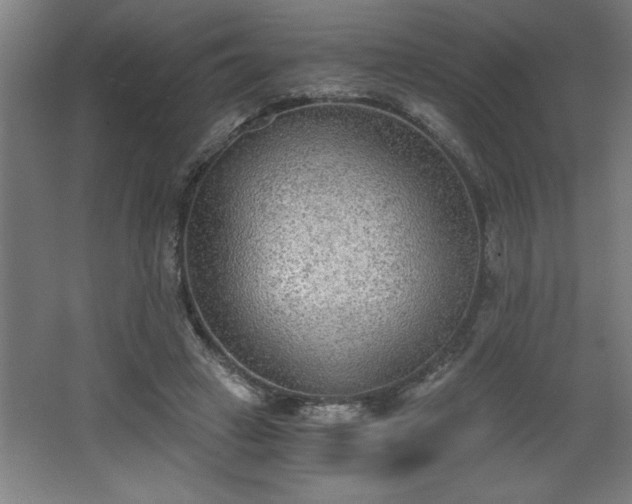 X0000068260449200604281530