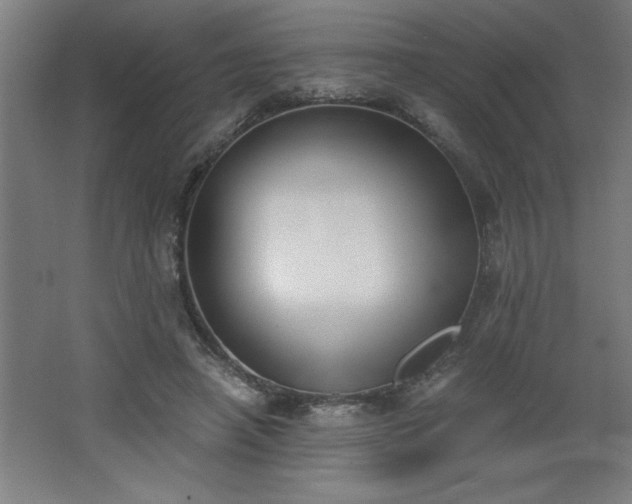 X0000068260450200604281530