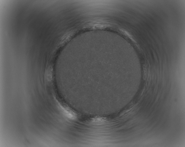 X0000068260451200604281530